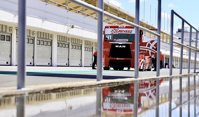 道致力于 道致力于