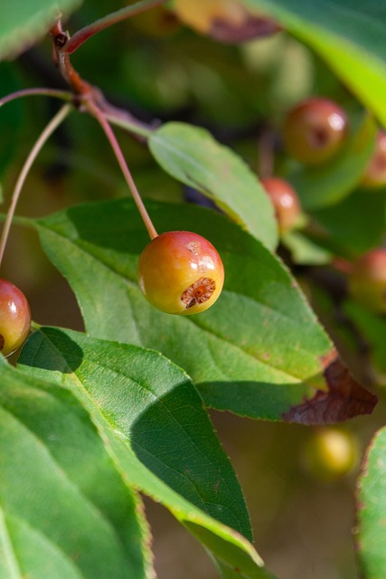 随着冬季运 随着冬季运