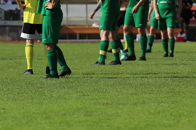 巨星的发言 巨星的发言