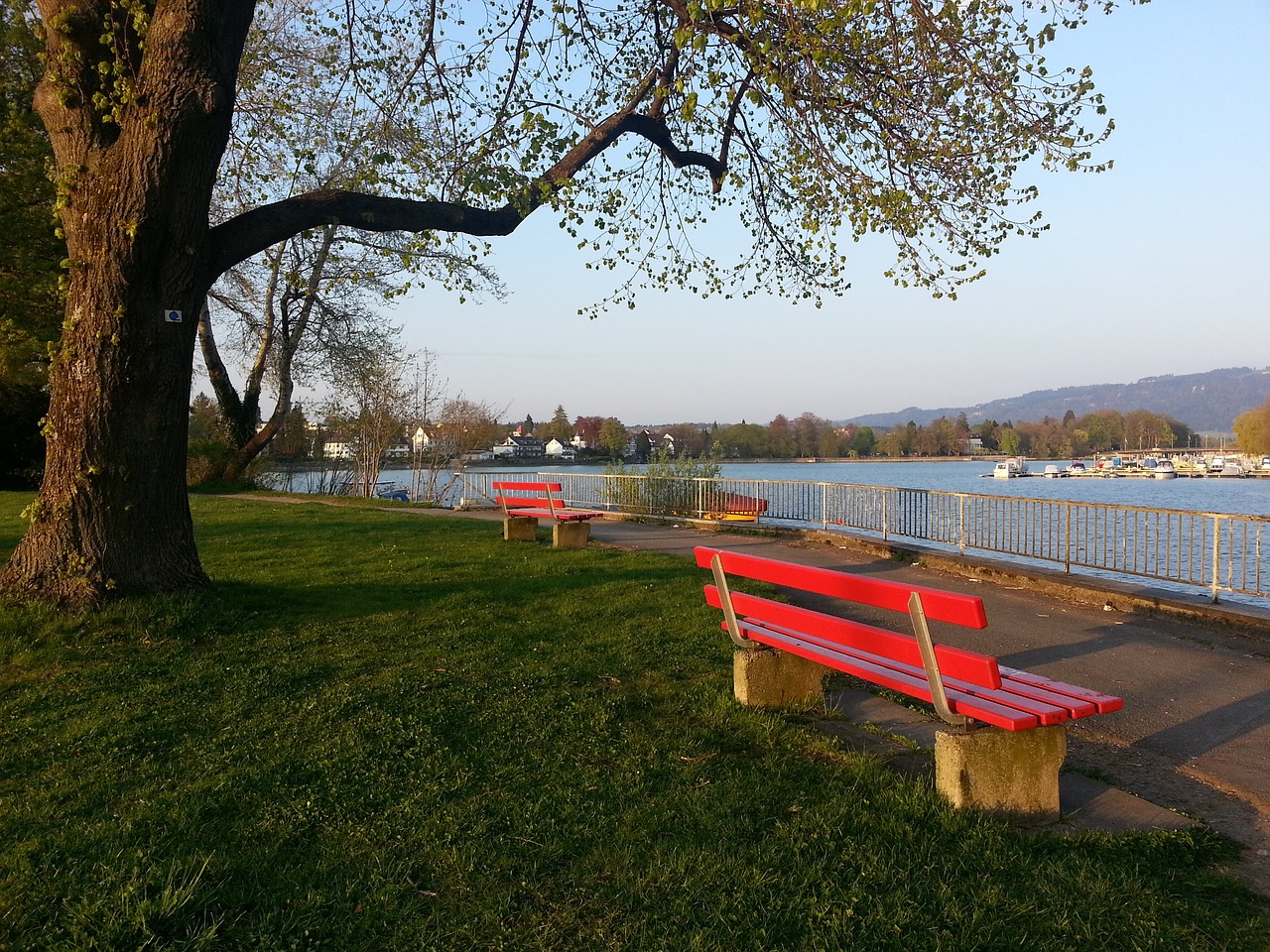 一个近乎神 一个近乎神