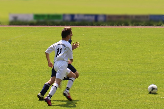 纳入麾下 纳入麾下