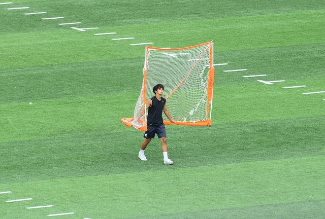 世界范围内 世界范围内