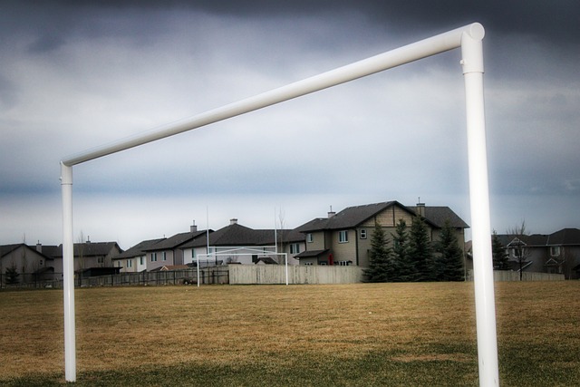 情况进行深 情况进行深