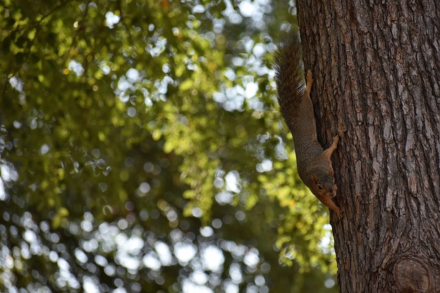 击球技术时 击球技术时