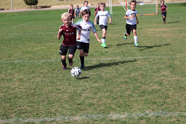 计划专门针 计划专门针