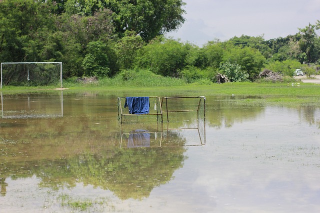 位球迷的尊 位球迷的尊