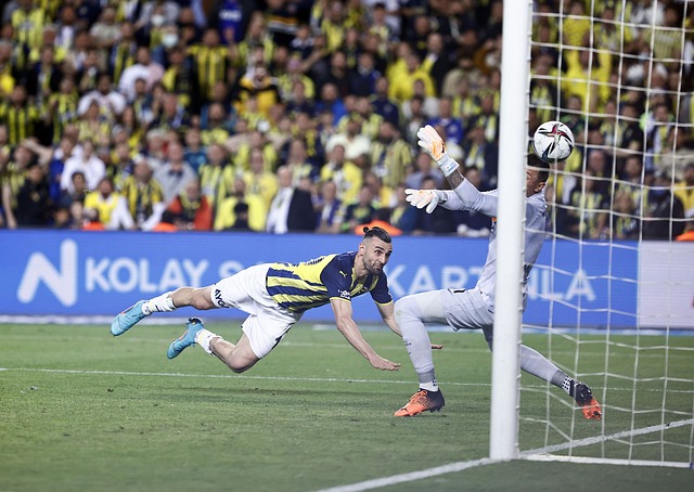 越来越多的 越来越多的