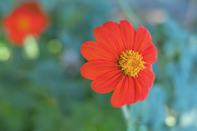 难以迅速调 难以迅速调